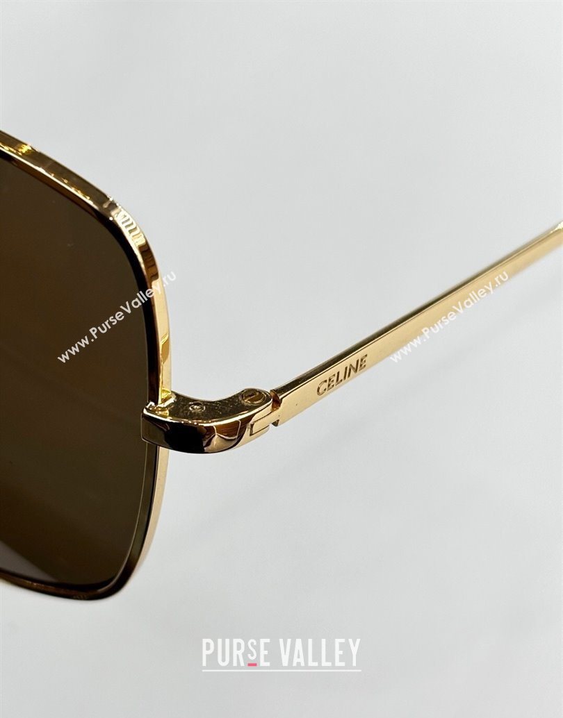 Celine Sunglasses 1 2025 CL40284U (SHI-251111033)