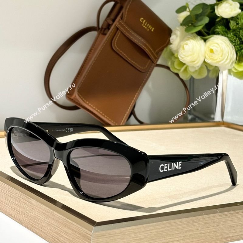 Celine Sunglasses Black 2025 CL40279U (SHI-251111037)