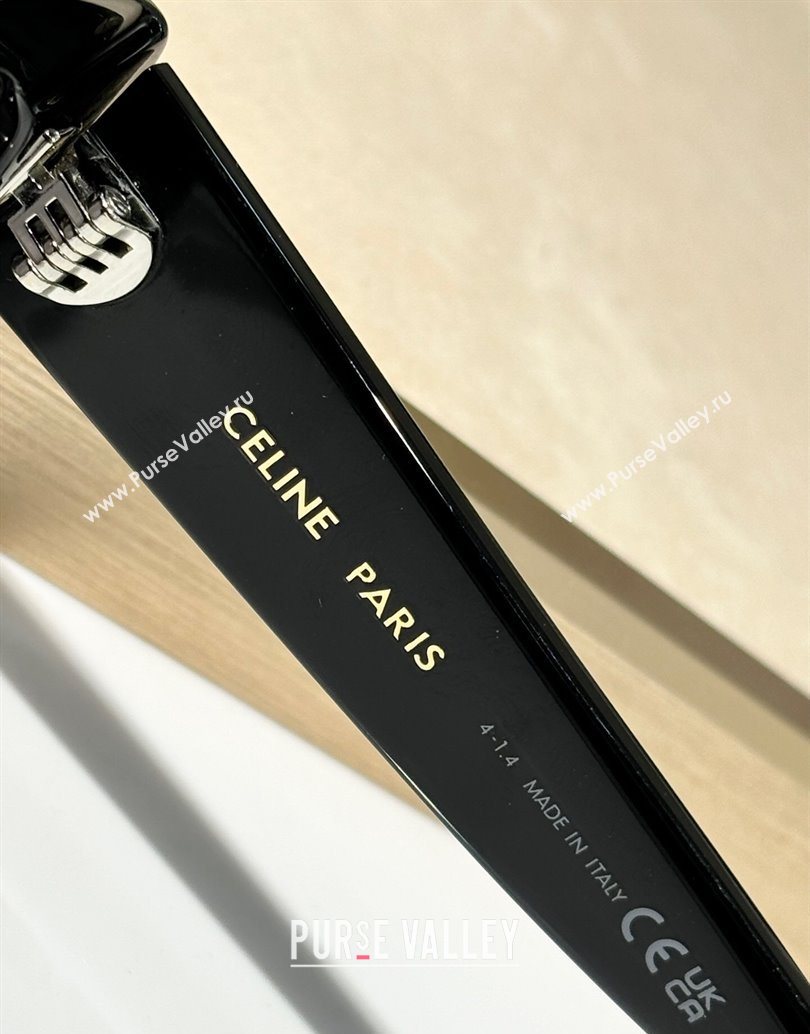 Celine Sunglasses Black 2025 CL40279U (SHI-251111037)