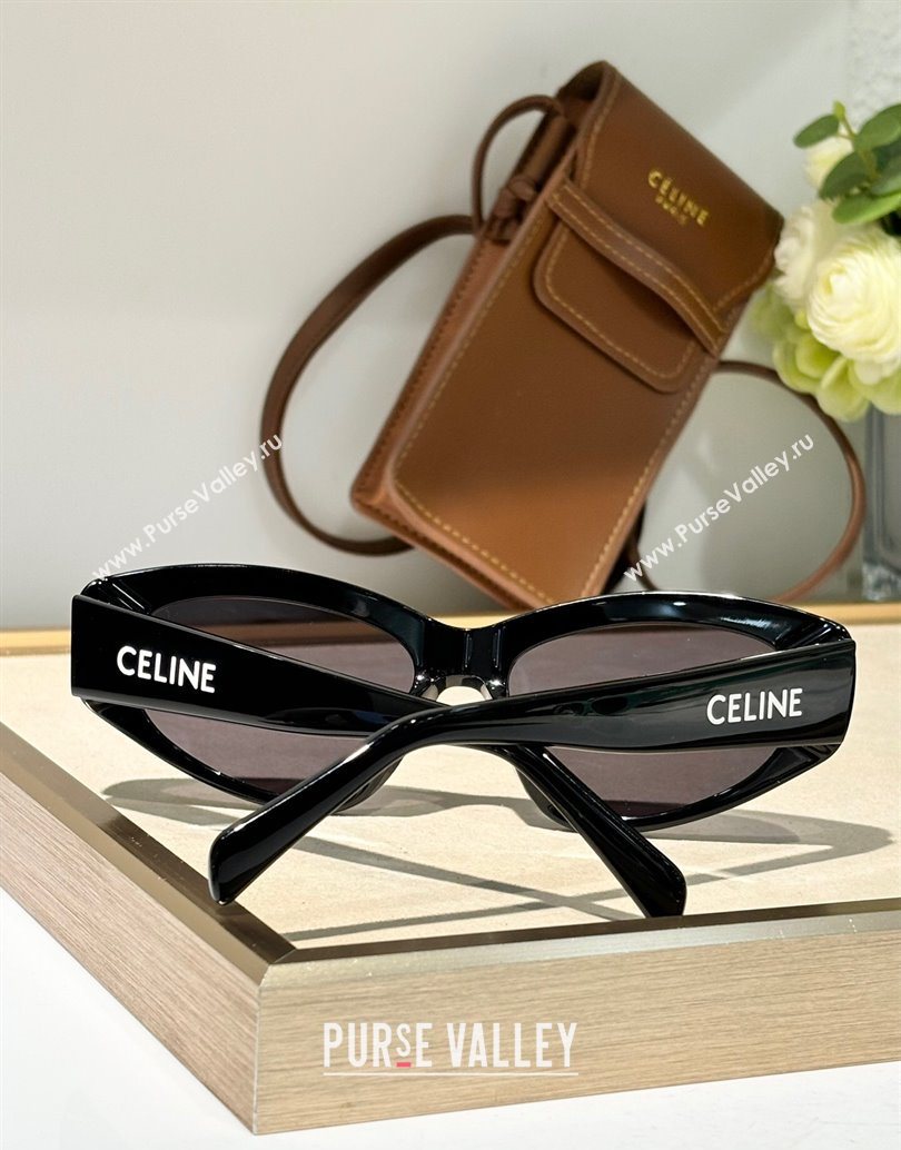 Celine Sunglasses Black 2025 CL40279U (SHI-251111037)