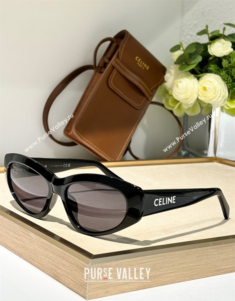 Celine Sunglasses Black 2025 CL40279U (SHI-251111037)