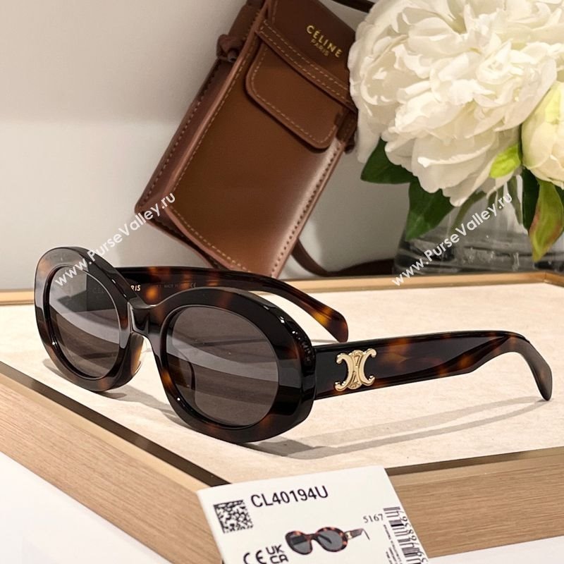 Celine Sunglasses 1 2025 CL40194 (SHI-251111042)