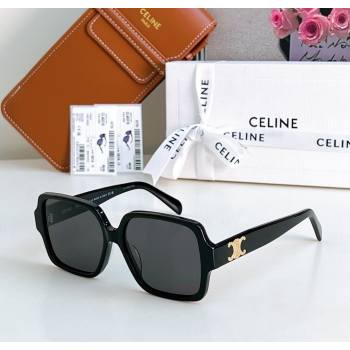 Celine Sunglasses 1 2025 CL40316U (SHI-251111051)