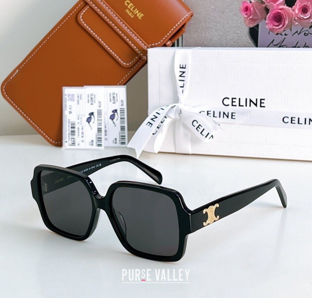 Celine Sunglasses 1 2025 CL40316U (SHI-251111051)