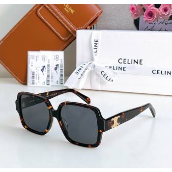 Celine Sunglasses 2 2025 CL40316U (SHI-251111052)