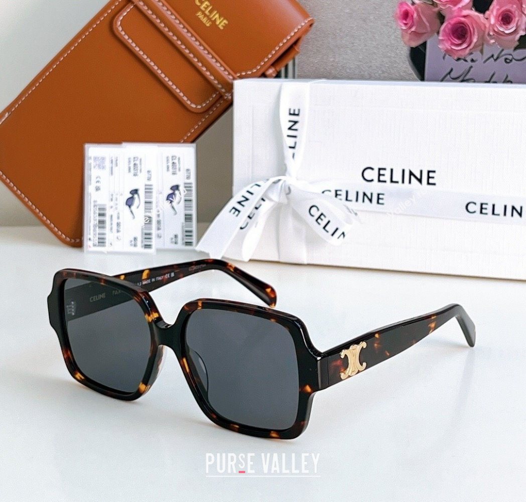 Celine Sunglasses 2 2025 CL40316U (SHI-251111052)