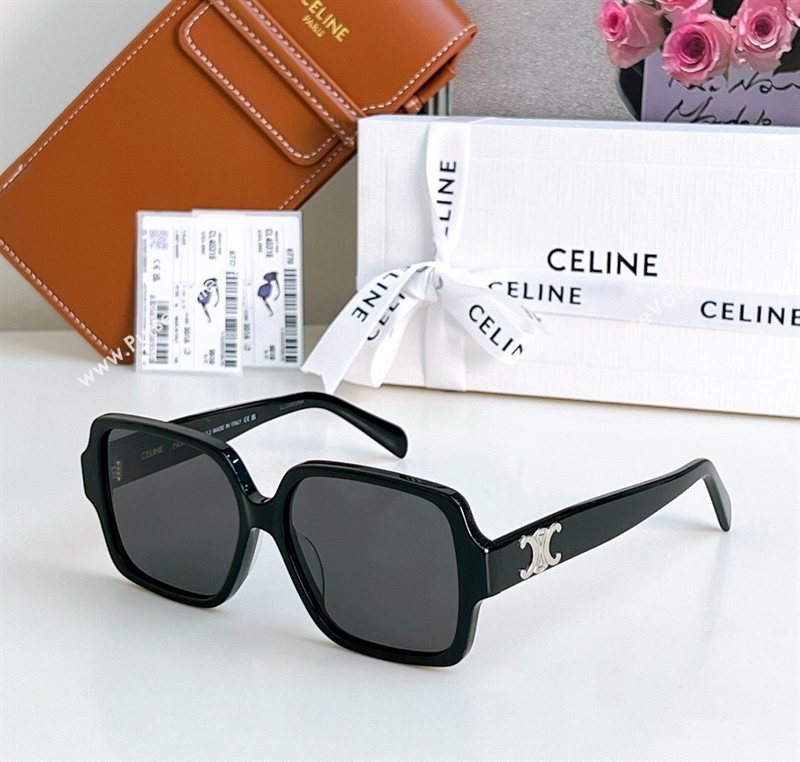 Celine Sunglasses 3 2025 CL40316U (SHI-251111053)