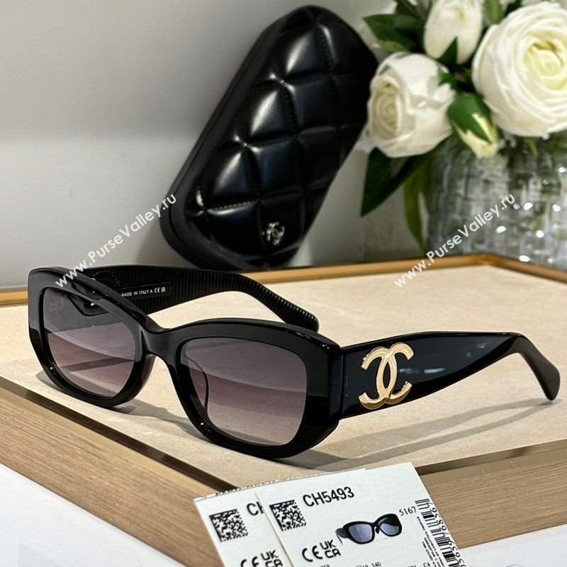 Chanel Sunglasses 1 2025 CH5493A (SHI-251110057)