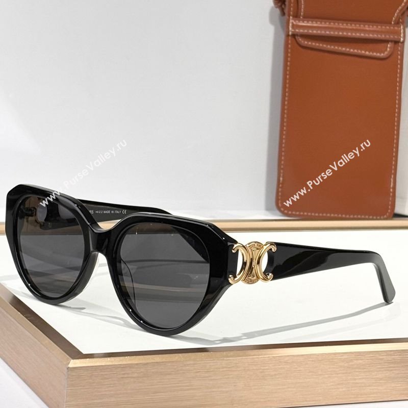 Celine Sunglasses Black/Grey 2025 CL40523 (SHI-250321091)