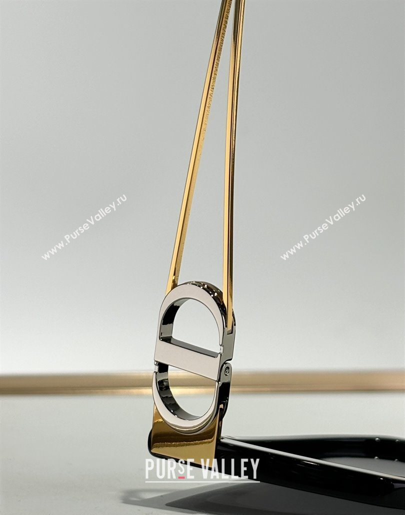 Dior Sunglasses 30 Montaigne 1 2025 S13F (SHI-250322135)