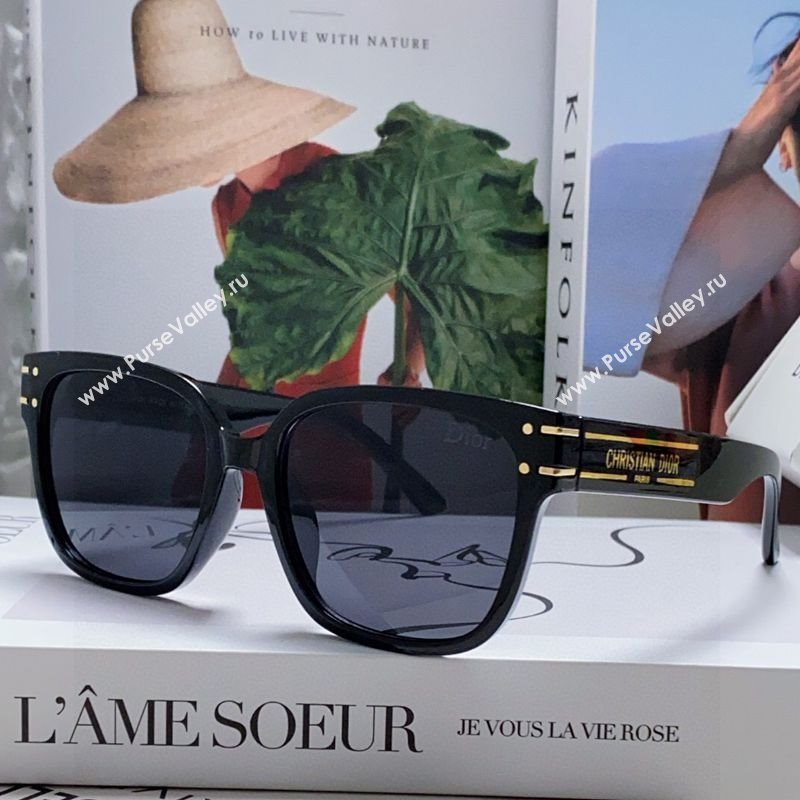 Dior Sunglasses Black 2025 Signature S7F (SHI-250508097)