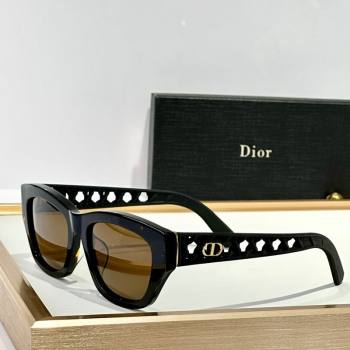 Dior Sunglasses 5 2025 VeryDior S2I (SHI-250508092)