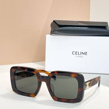 Celine Sunglasses Brown 2025 CL40304U (shi-250614126)