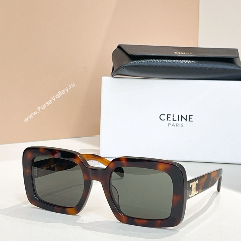 Celine Sunglasses Brown 2025 CL40304U (shi-250614126)