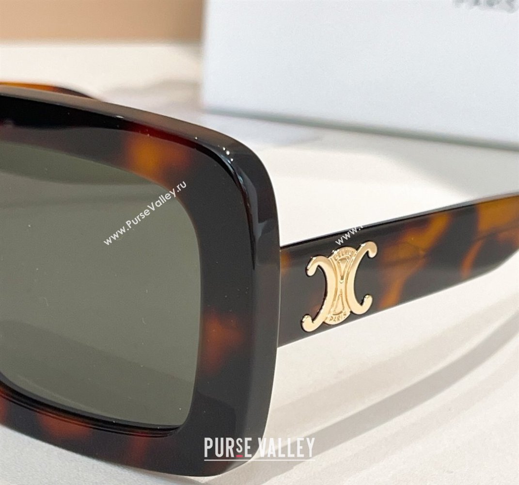 Celine Sunglasses Brown 2025 CL40304U (shi-250614126)