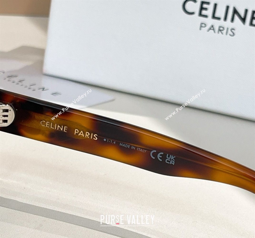 Celine Sunglasses Brown 2025 CL40304U (shi-250614126)
