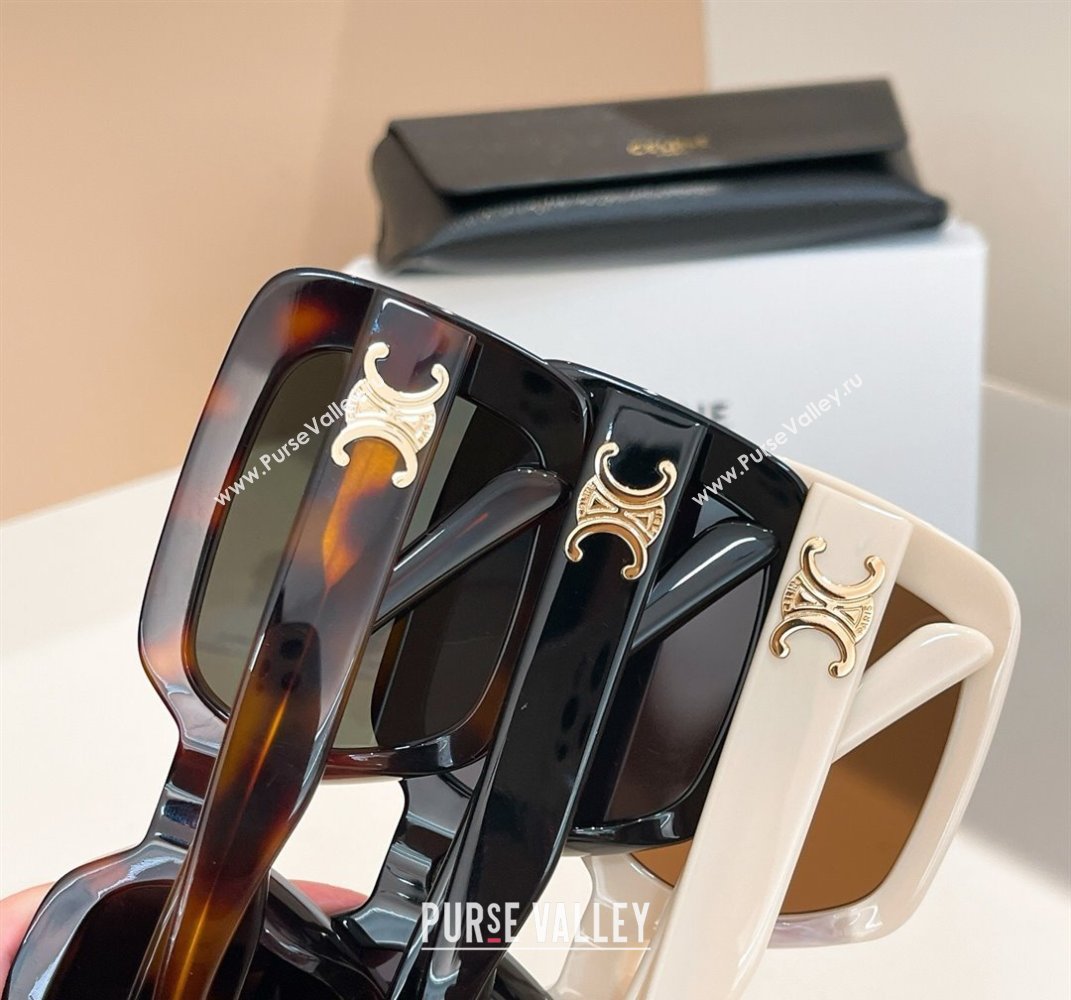 Celine Sunglasses Black 2025 CL40304U (shi-250614125)