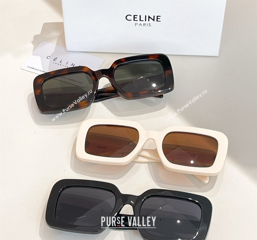 Celine Sunglasses Black 2025 CL40304U (shi-250614125)