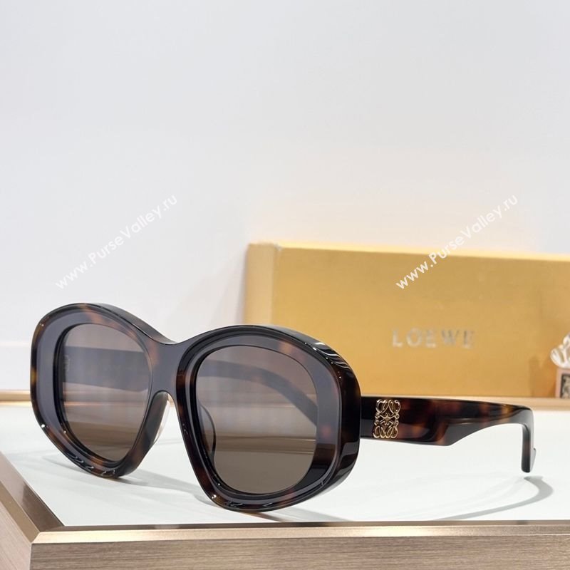 Loewe Sunglasses 6 2025 LW40181I (SHI-251231034)