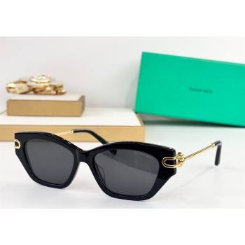 Tiffany Co Sunglasses 1 2025 TF4231U (SHI-251231048)