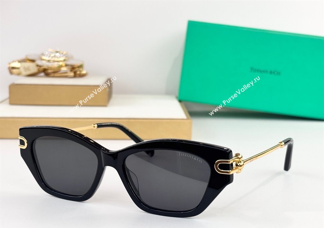 Tiffany  Co Sunglasses 1 2025 TF4231U (SHI-251231048)