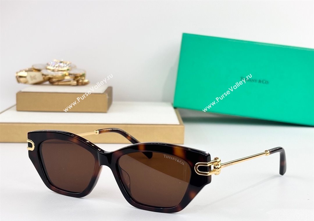 Tiffany  Co Sunglasses 3 2025 TF4231U (SHI-251231050)