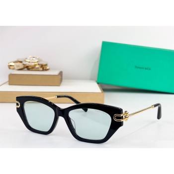 Tiffany Co Sunglasses 4 2025 TF4231U (SHI-251231051)