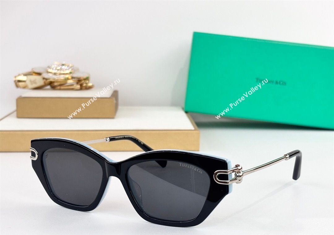 Tiffany  Co Sunglasses 8 2025 TF4231U (SHI-251231055)