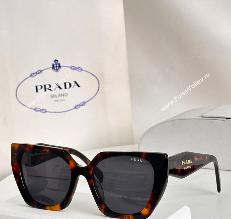 Prada Sunglasses Brown/Grey 2025 SPR15W (SHI-251231057)