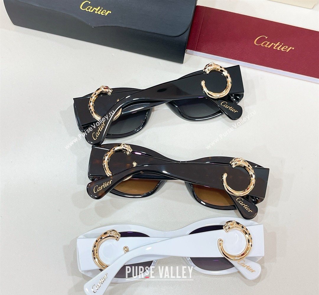 Cartier Sunglasses Brown 2026 CT0472S (SHI-260314107)