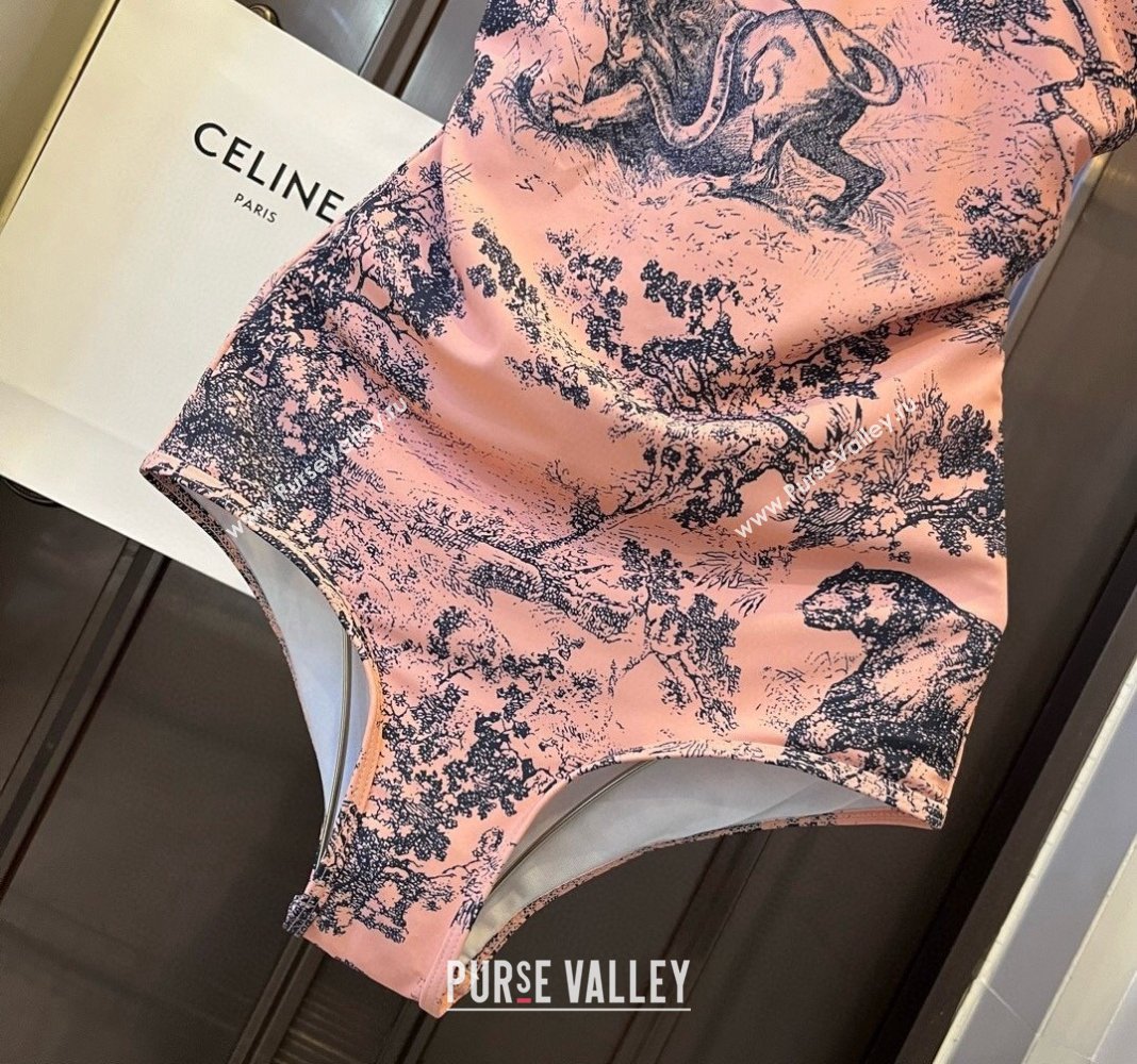 Dior Swimwear Pink 2024 CH040104 (WM-240401035)