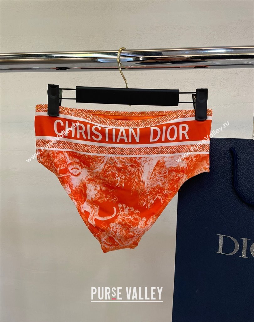 Dior Zipped Swimwear Orange Print 2024 061802 (A-240618097)