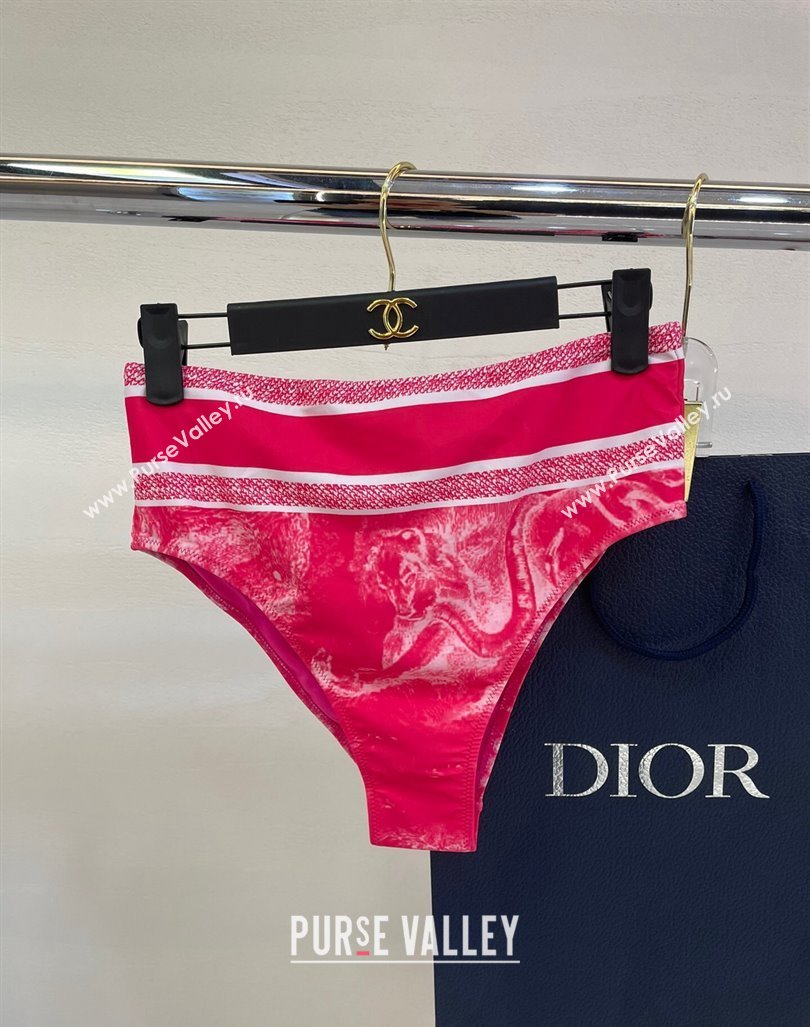 Dior Zipped Swimwear Pink Print 2024 061802 (A-240618098)