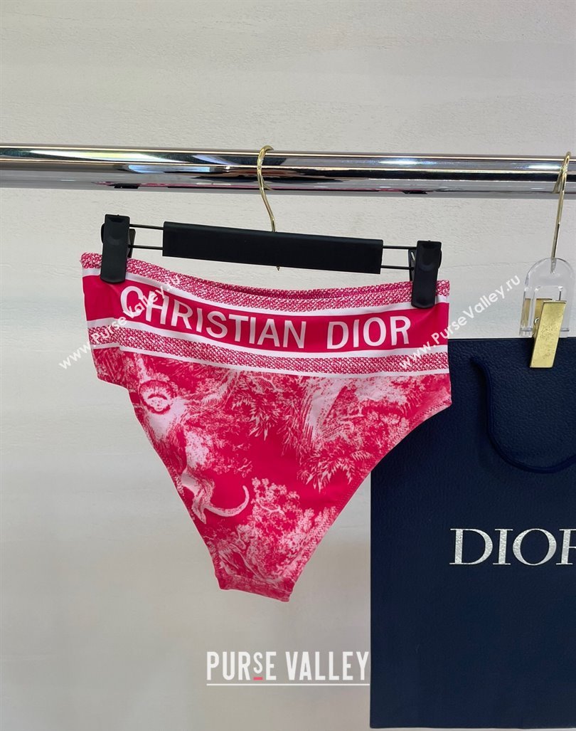 Dior Zipped Swimwear Pink Print 2024 061802 (A-240618098)