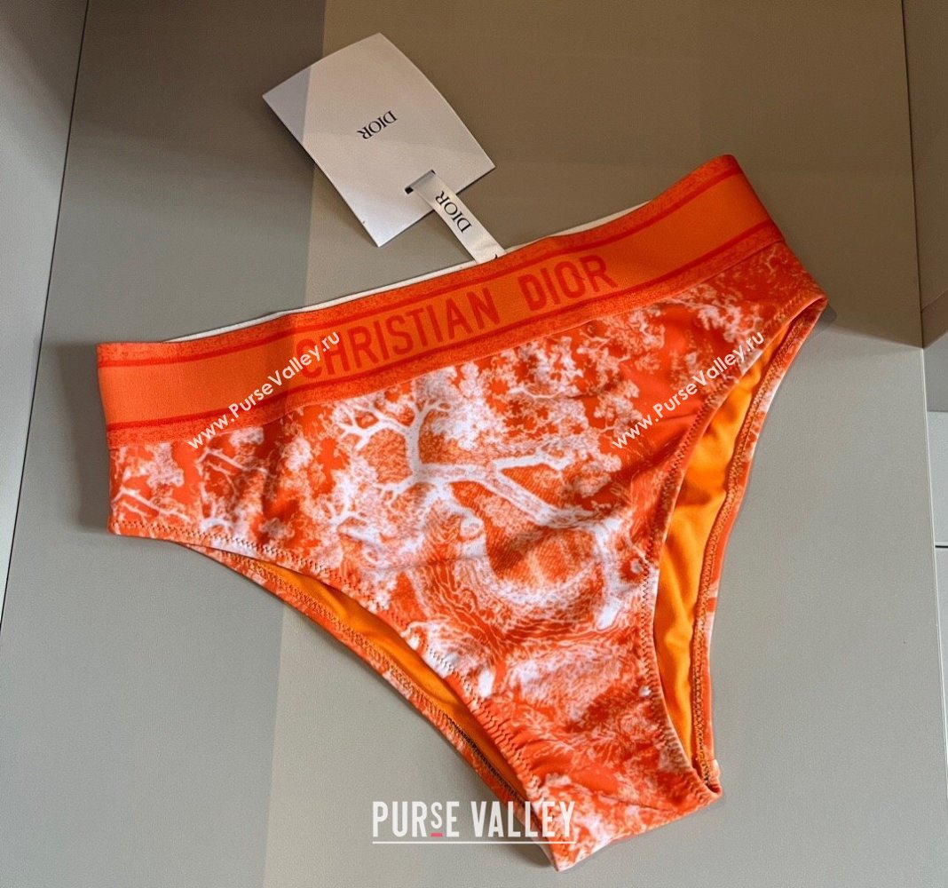 Dior Fluorescent Swimwear Orange 2024 0618 (XMN-240618085)