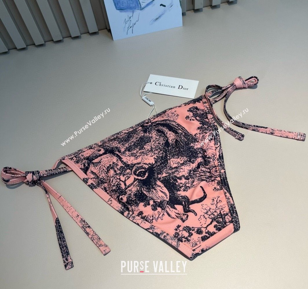 Dior Two-Pieces Swimwear and Skirt Set Pink 2025 (WM-250313061)