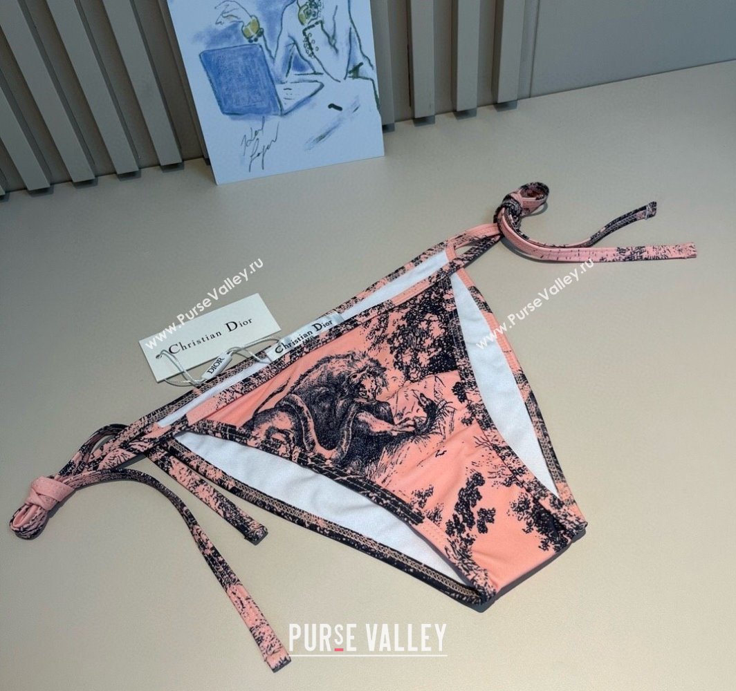 Dior Two-Pieces Swimwear and Skirt Set Pink 2025 (WM-250313061)