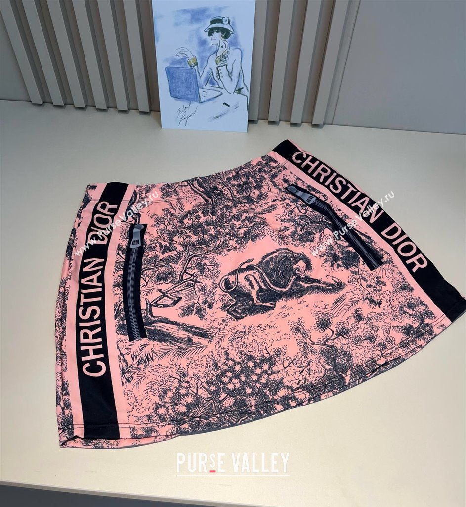 Dior Two-Pieces Swimwear and Skirt Set Pink 2025 (WM-250313061)