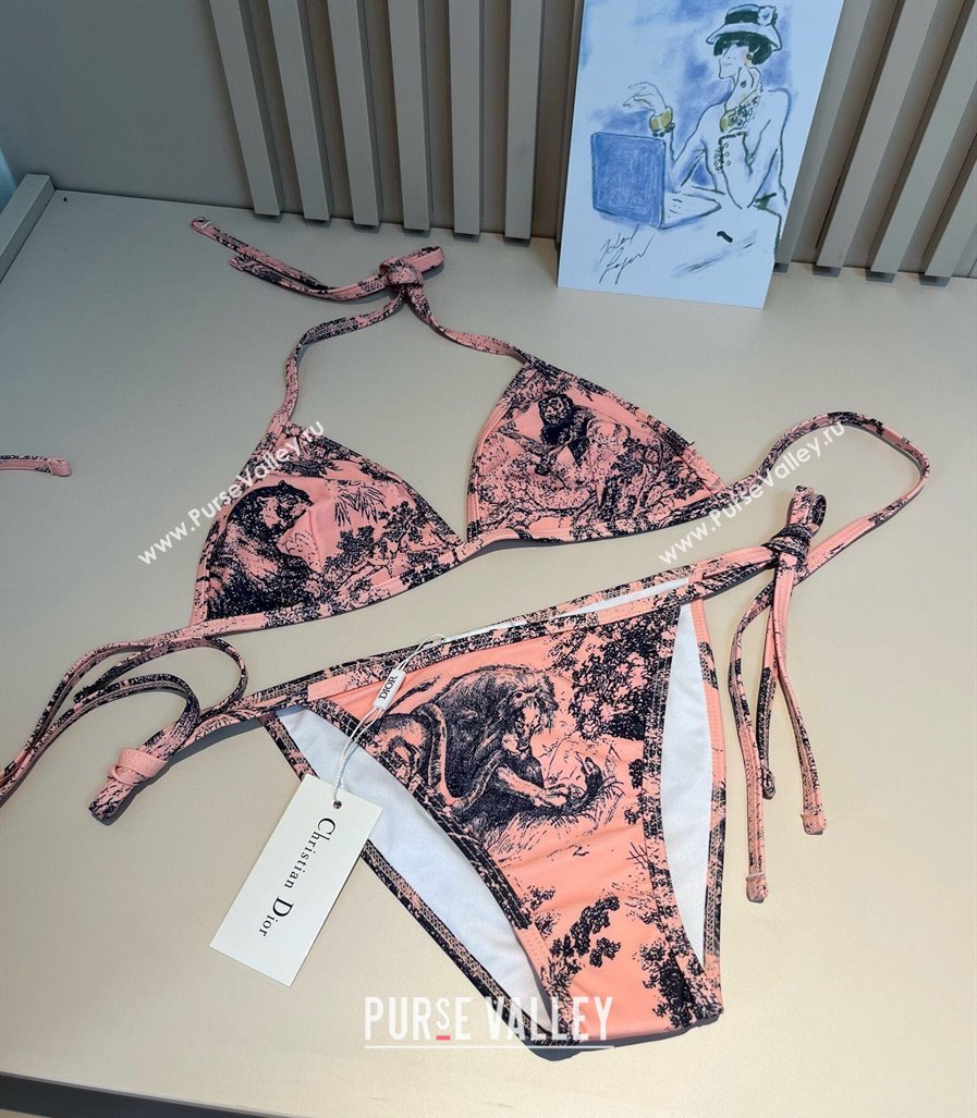 Dior Two-Pieces Swimwear and Skirt Set Pink 2025 (WM-250313061)