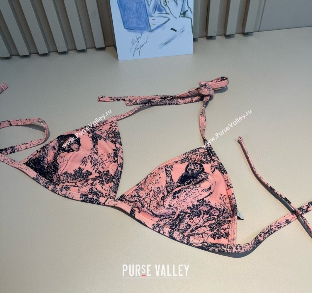 Dior Two-Pieces Swimwear and Skirt Set Pink 2025 (WM-250313061)