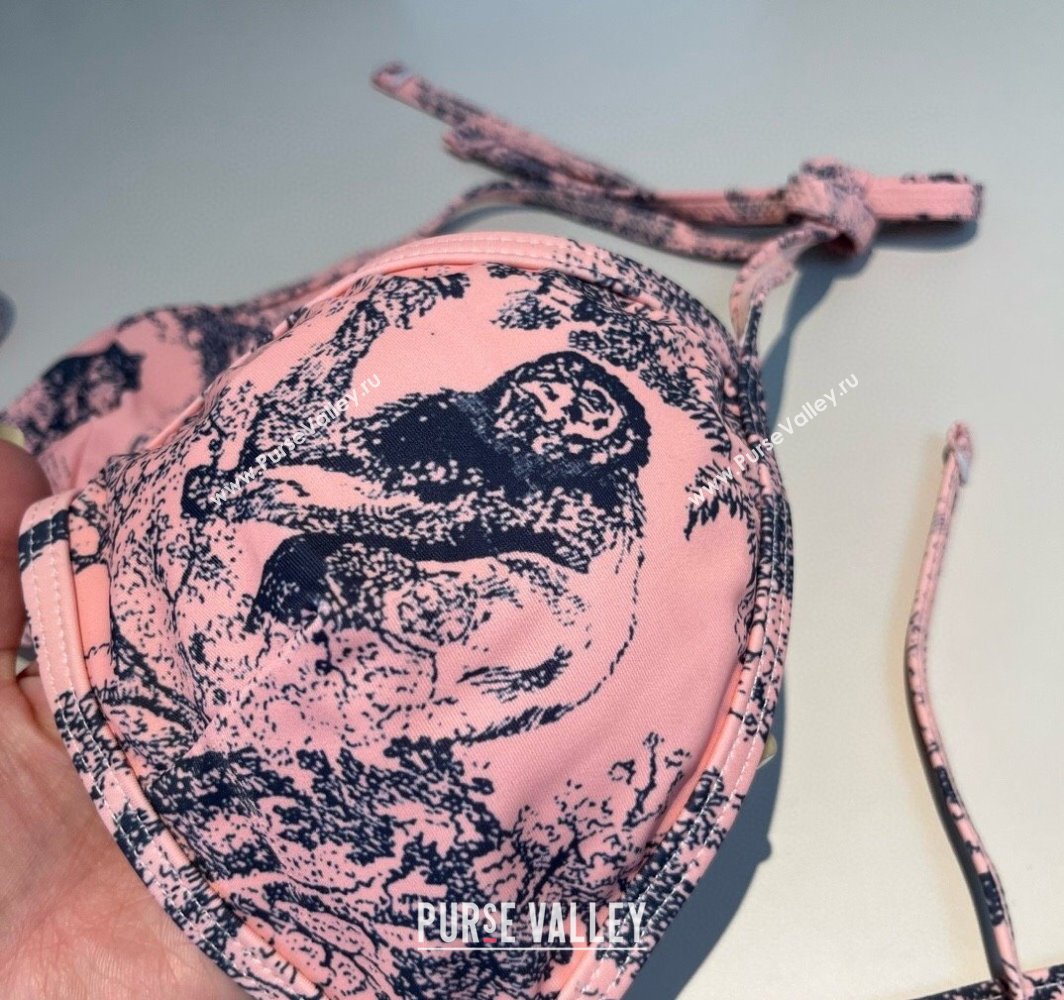 Dior Two-Pieces Swimwear and Skirt Set Pink 2025 (WM-250313061)