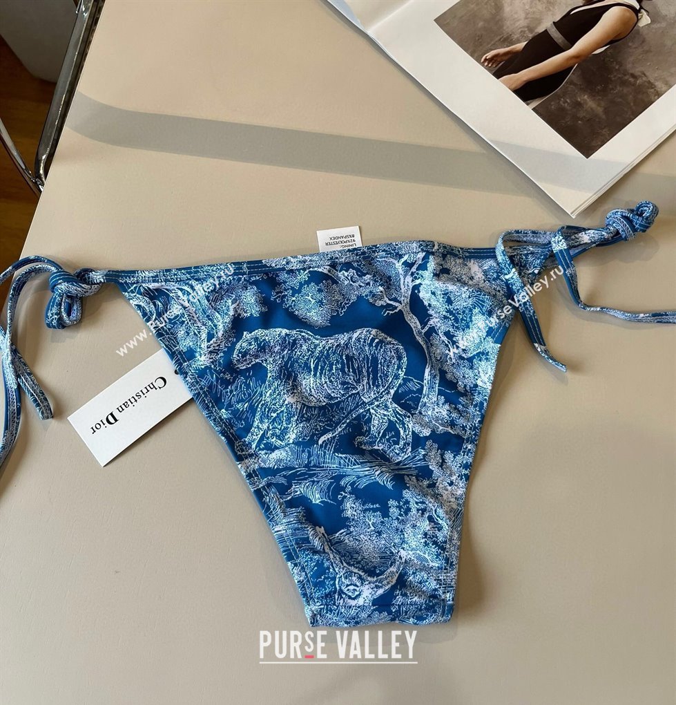 Dior Two-Pieces Swimwear Denim Blue 2025 0313 (WM-250313058)