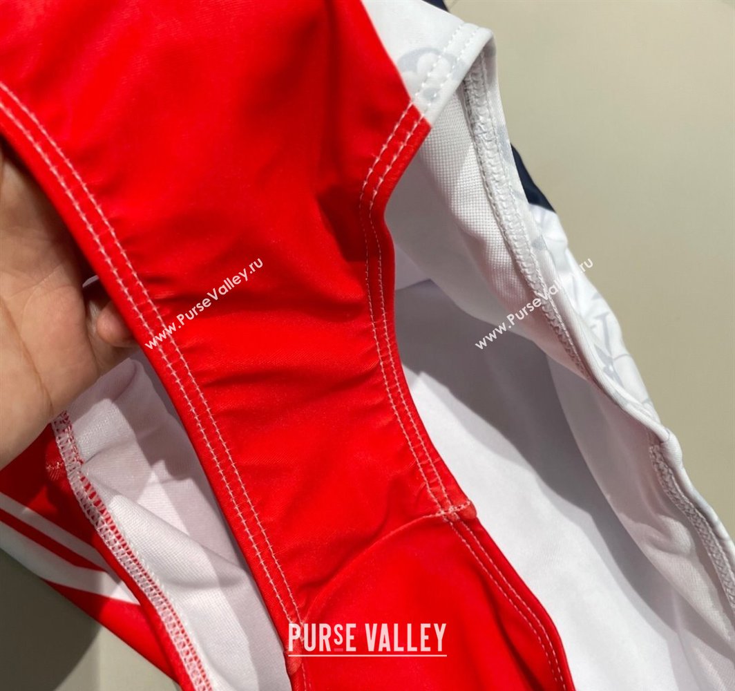 Louis Vuitton One-Piece Swimwear Multicolor 2025 0313 (SHI-250313118)