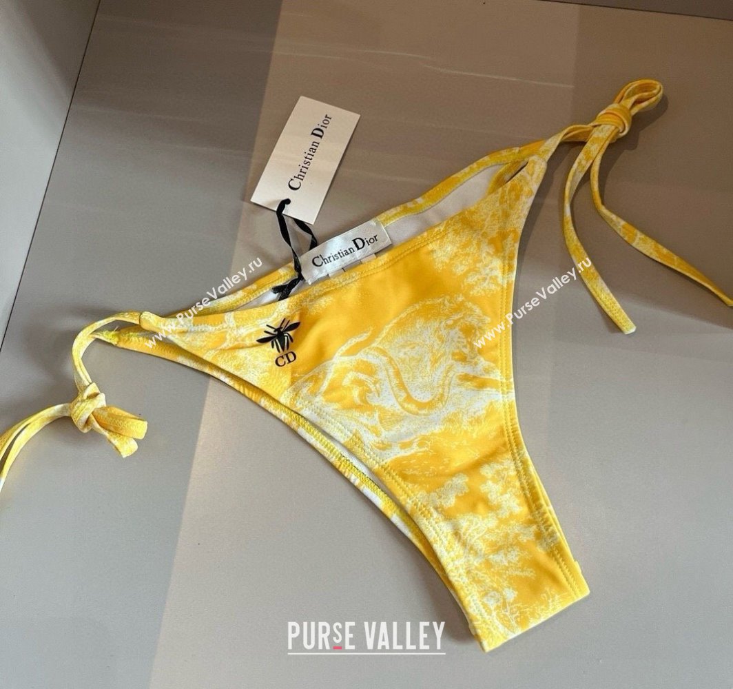 Dior Two-Pieces Swimwear Yellow 2025 0313 (WM-250313037)