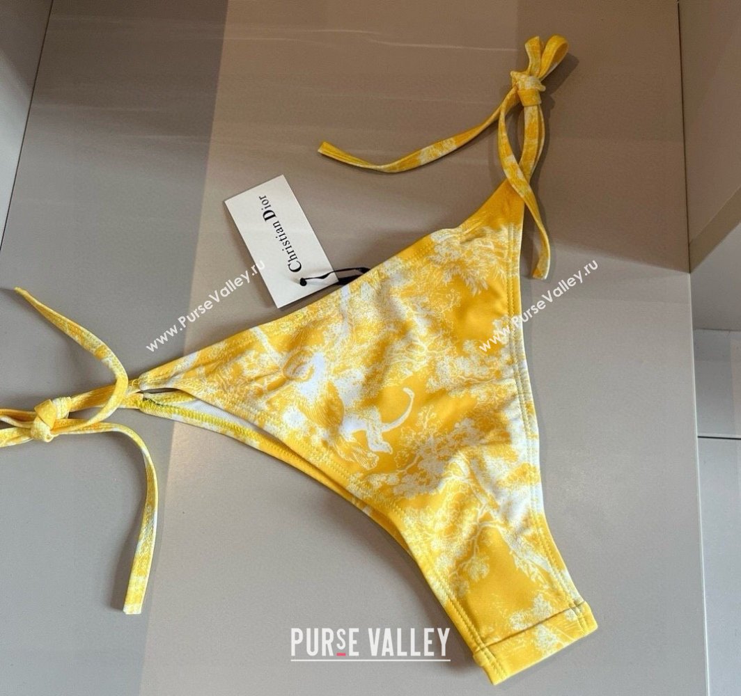 Dior Two-Pieces Swimwear Yellow 2025 0313 (WM-250313037)
