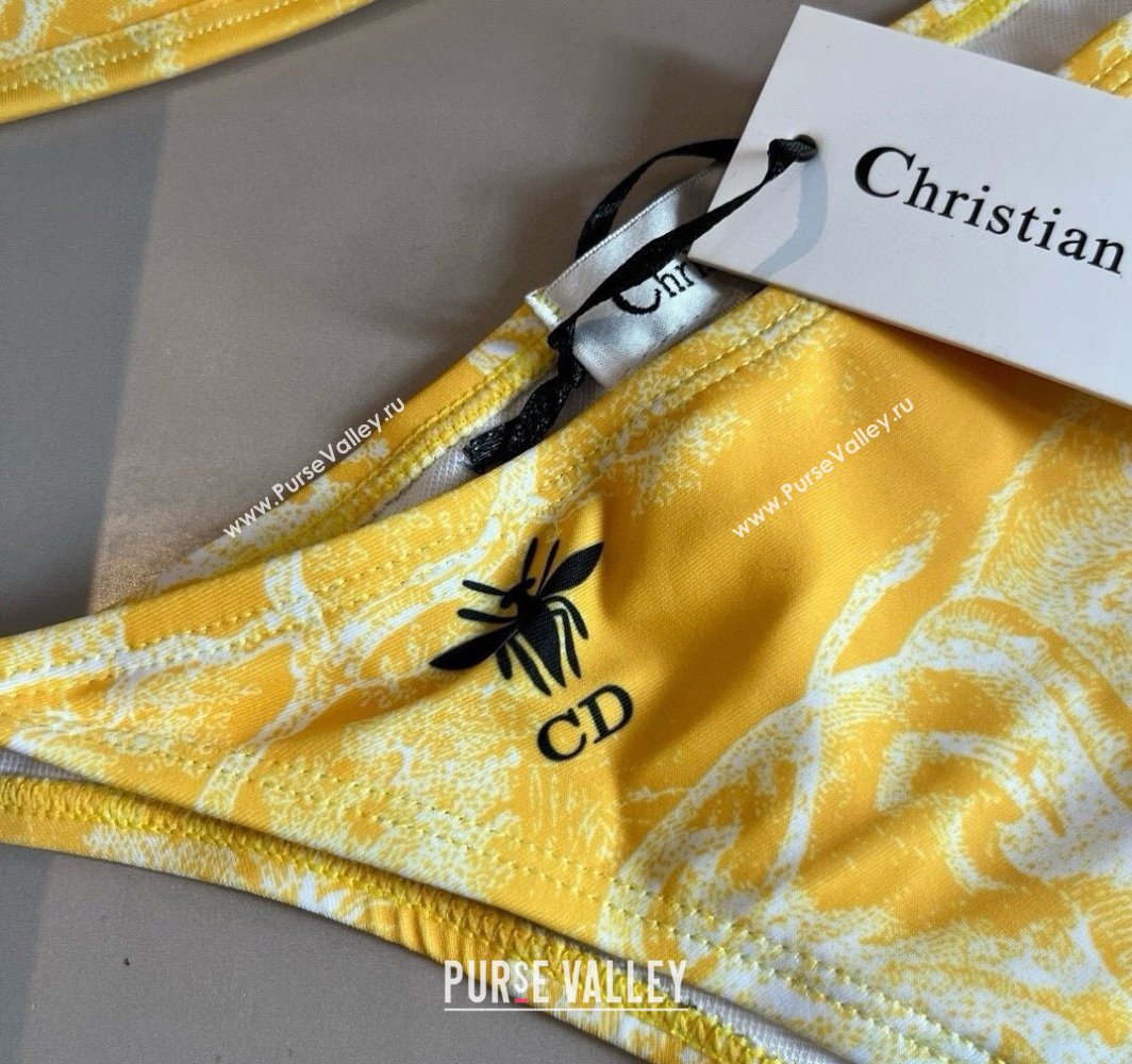 Dior Two-Pieces Swimwear Yellow 2025 0313 (WM-250313037)