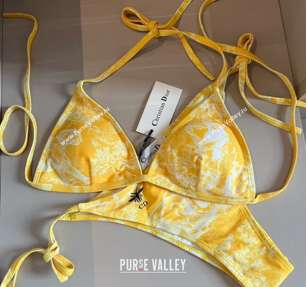Dior Two-Pieces Swimwear Yellow 2025 0313 (WM-250313037)