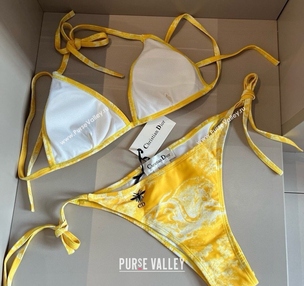 Dior Two-Pieces Swimwear Yellow 2025 0313 (WM-250313037)