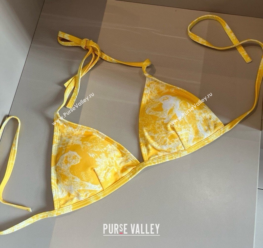 Dior Two-Pieces Swimwear Yellow 2025 0313 (WM-250313037)