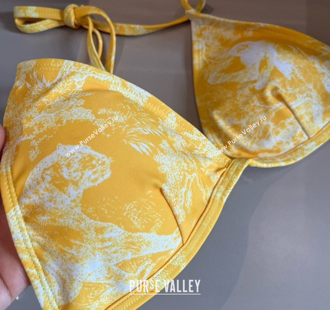 Dior Two-Pieces Swimwear Yellow 2025 0313 (WM-250313037)